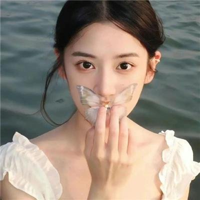 波波鹿与飞天鼠