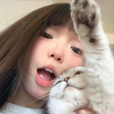 卧底羔羊